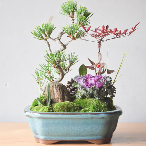 黒松和風寄せ植え☆お正月☆クリスマス☆ no.359 その他インテリア雑貨