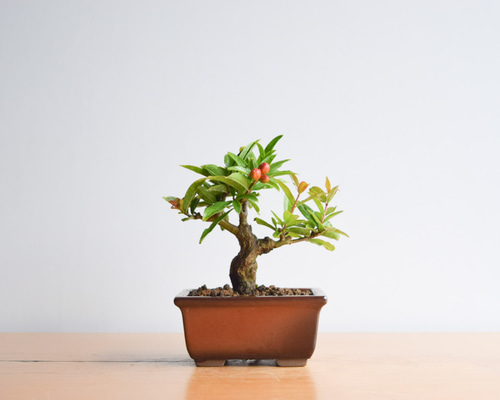 1_3e278740b838a12e78ae35dbc866