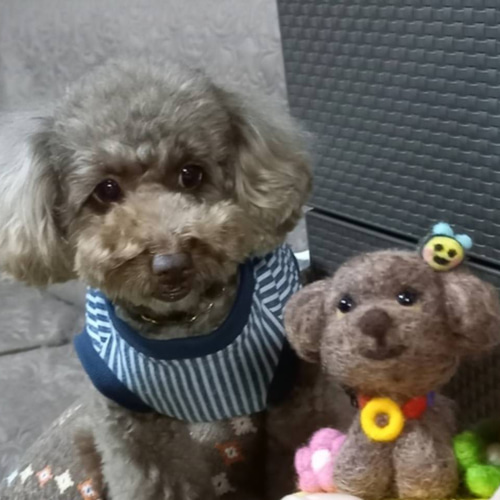 ペット＊オーダー専用＊L 羊毛フェルト ＊COCO＊ 通販 9890762｜Creema