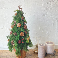 ラスト１点！ナチュラルなクリスマスツリー〜プレゼントを運ぶトナカイ〜 3枚目の画像