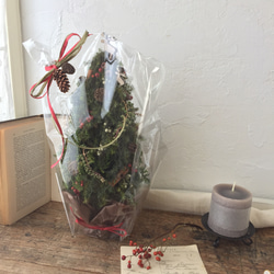 ラスト１点！ナチュラルなクリスマスツリー〜プレゼントを運ぶトナカイ〜 8枚目の画像