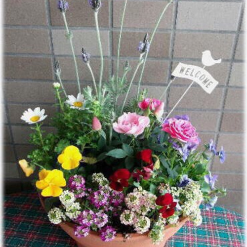 オトナカワイイ春の寄せ植え 春の花いっぱいかわいい寄せ植え その他インテリア雑貨 Toshi 通販