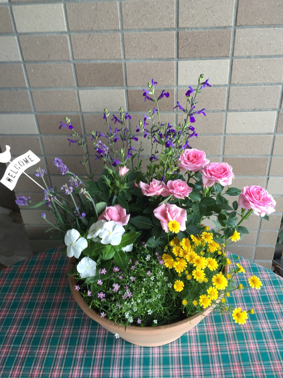 贈り物の花いっぱいの寄せ植え（専用フラワースタンド付き） 2枚目の画像