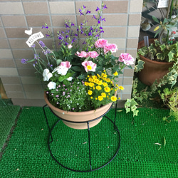 贈り物の花いっぱいの寄せ植え（専用フラワースタンド付き） 4枚目の画像