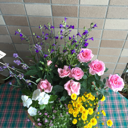 贈り物の花いっぱいの寄せ植え（専用フラワースタンド付き） 5枚目の画像