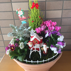可愛いクリスマス寄せ植え その他インテリア雑貨 Toshi 通販
