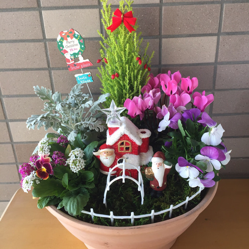 No.338　Xmas rose　寄せ植え　花 No.338 Xmas rose様専用 寄せ植え 花