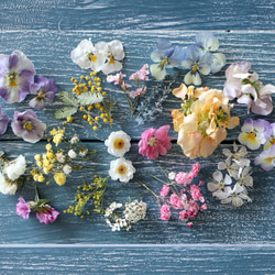 ❁春爛漫のお花BOX❁﻿（１５種類以上のお花セット） 2枚目の画像