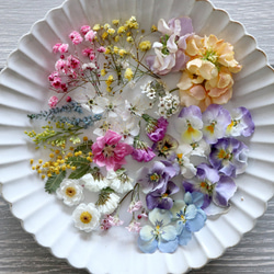 ❁春爛漫のお花BOX❁﻿（１５種類以上のお花セット） 3枚目の画像