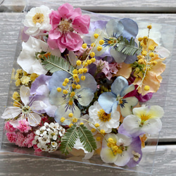 ❁春爛漫のお花BOX❁﻿（１５種類以上のお花セット） 6枚目の画像