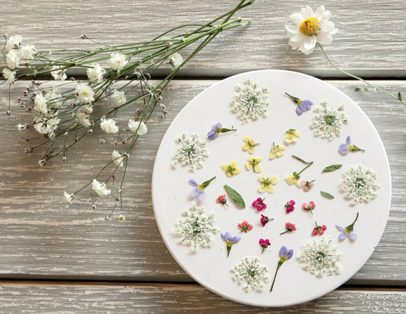 ❁﻿押し花アソートミックス❁﻿ 2枚目の画像