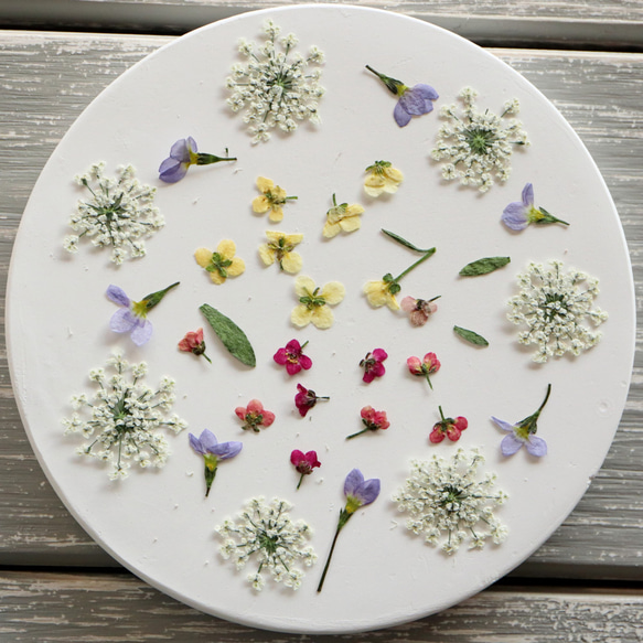 ❁﻿押し花アソートミックス❁﻿ 3枚目の画像