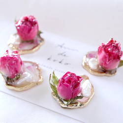 ❁﻿Jolis boutons de roseニッケルフリーピアス❁﻿ 1枚目の画像