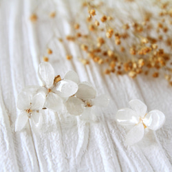 白い紫陽花のイヤーカフス （plus白い紫陽花イヤリング×２） 3枚目の画像