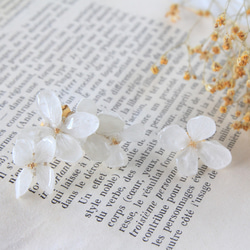 白い紫陽花のイヤーカフス （plus白い紫陽花イヤリング） 1枚目の画像