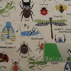 ランチマット（４０×４０ｃｍ）昆虫柄/ Large Lunch mat (Insects) 3枚目の画像