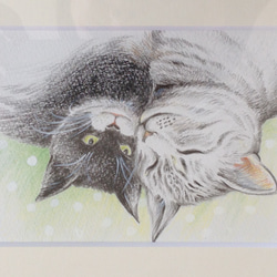 仲良し猫　色鉛筆画 2枚目の画像