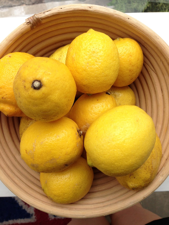 国産無農薬レモンのサブレ 3枚目の画像