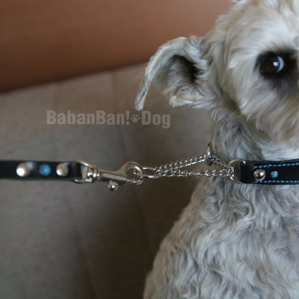 ハーフチョーク 首輪 とは? 