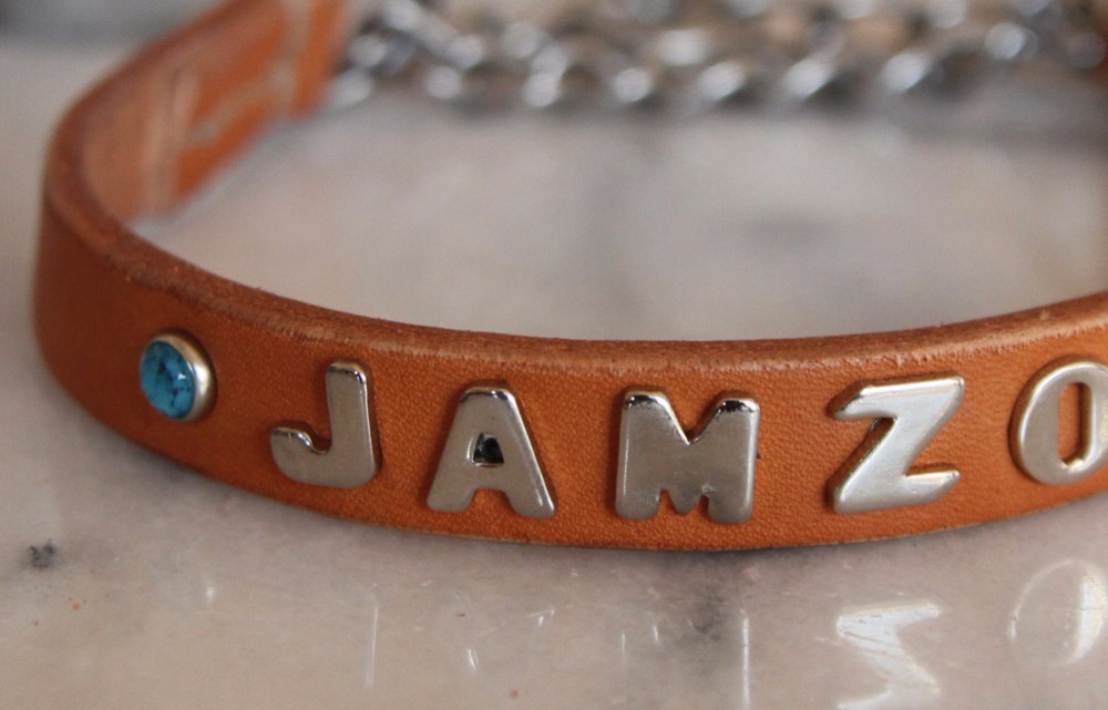 シンプル レザー 首輪 ハーフチョーク 名前入り ヌメ革