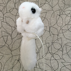 モモンガ 大 ホワイト 小袋付き ぬいぐるみ 空ぐみ 通販 6267567