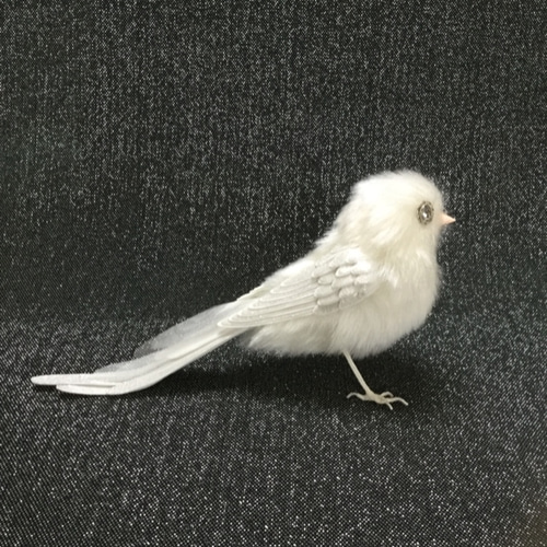 白い鳥 足立区で一年中見られる野鳥
