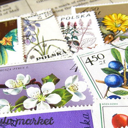 外國郵票（波蘭）16朵花-095 第2張的照片