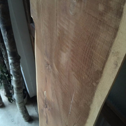 【送料無料】飛騨の天然木 『イチイ材』DIY・台や造作用など木材・板材/yan-11 3枚目の画像