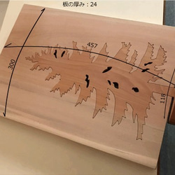 【送料無料】wood Tree 木のオブジェ 外枠付き！ 【1点もの】天然無垢/飛騨産材/『桂』材  his-295 4枚目の画像