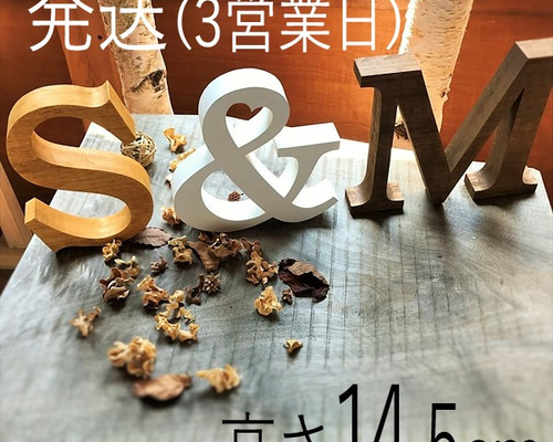 [R様確認用]アルファベット オブジェ 楽天市場】木彫りのアルファベット文字オブジェ 記号