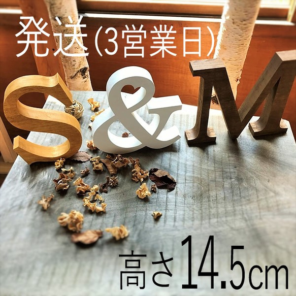 【自立型】アルファベットオブジェ 高さ14.5cm×幅×厚み2.7cm  大きい 切り文字 1枚目の画像