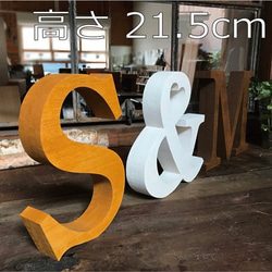 イニシャルオブジェ(大) アルファベットオブジェ イニシャルオブジェ インテリア レジン - メルカリ