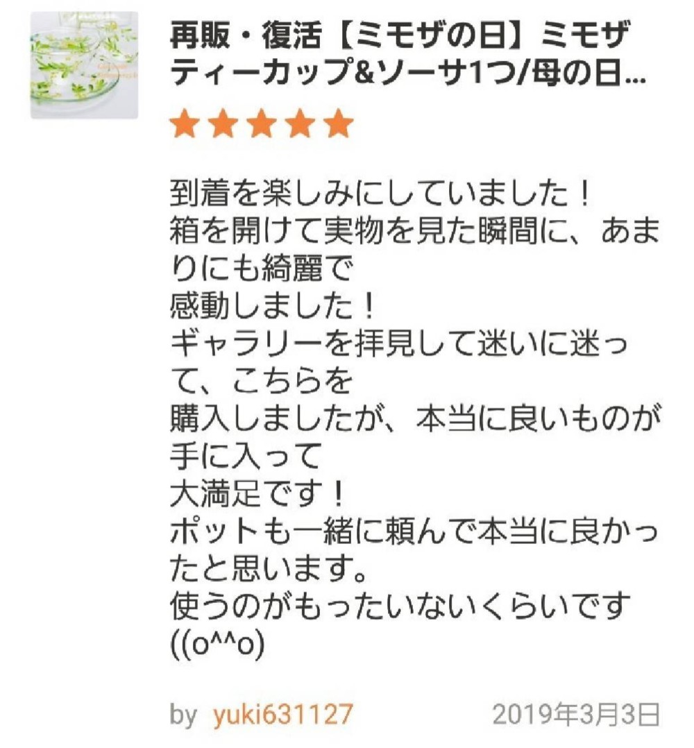 【母の日プレゼント】ミモザティーポット｜母の日ギフト・還暦祝い・退職祝い・お母さんの誕生日プレゼント