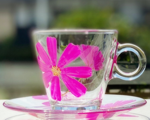 0_406ed95efdd6366559d60d7c02b7