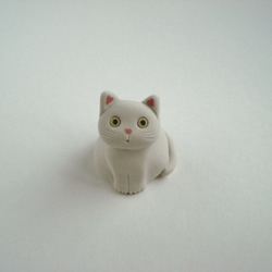 我最喜歡的貓-uchinoko 第1張的照片
