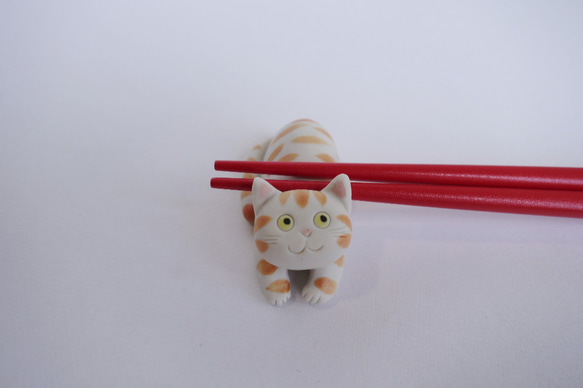 可愛的貓-筷子休息 第4張的照片