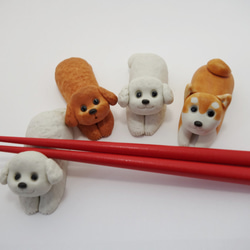 我們的狗-uchinoko筷子休息 第5張的照片