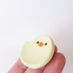 小雞筷子休息 第5張的照片