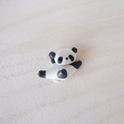 一隻小熊貓 第1張的照片