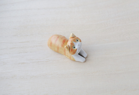可愛的貓-筷子休息 第3張的照片
