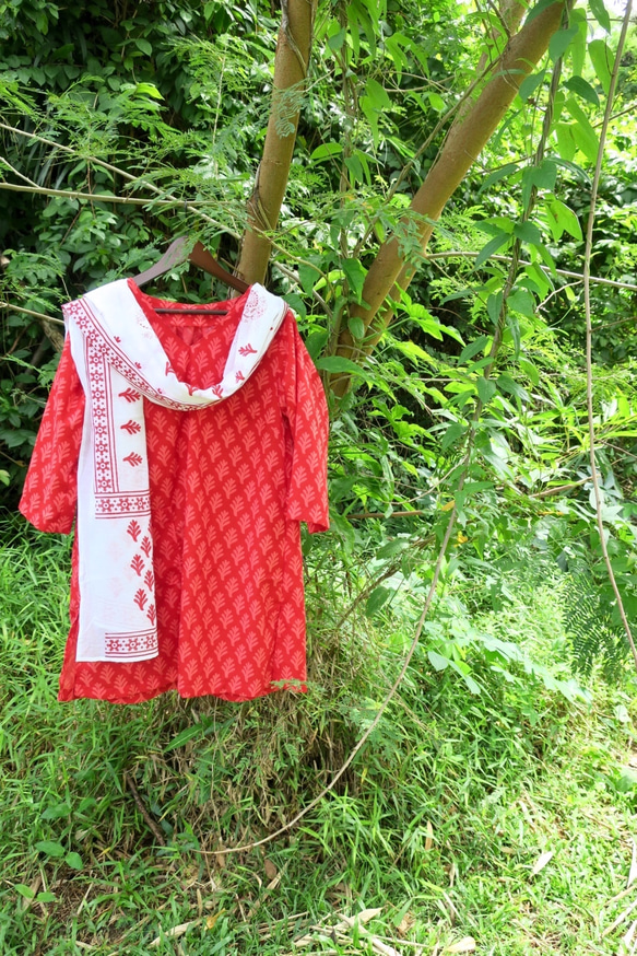 克里默有限！ ！ “母親節”免費送貨，免費包裝康乃馨顏色，外衣披肩（印度布） 第8張的照片