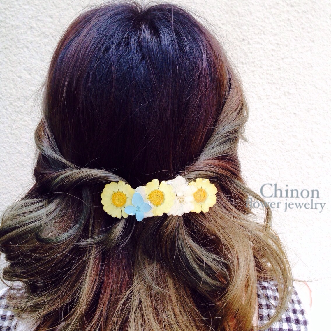 イエロースノーボールとあじさい、フロックスバレッタ