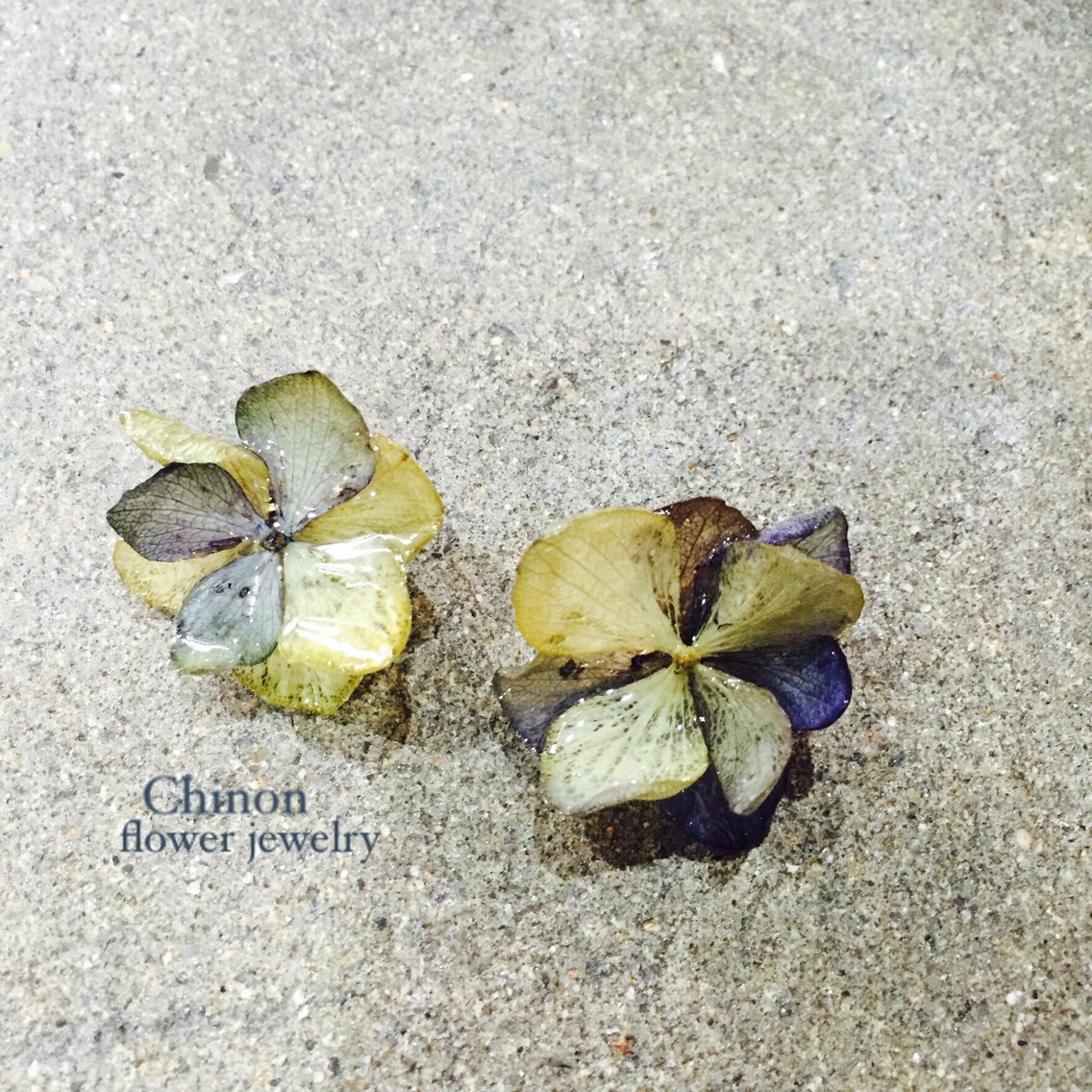 アンティークカラーあじさいイヤリング  大