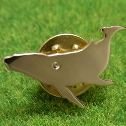 ザトウクジラpins 1枚目の画像