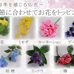 仏花の11種類　トッピングセット 3枚目の画像