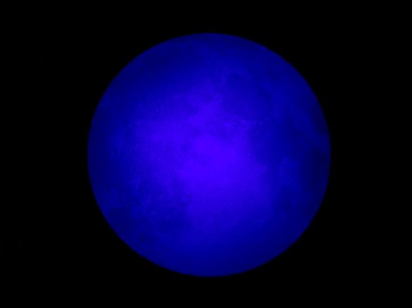 月の標本　ランプ　黒額（黄/青色光）G004YB 5枚目の画像