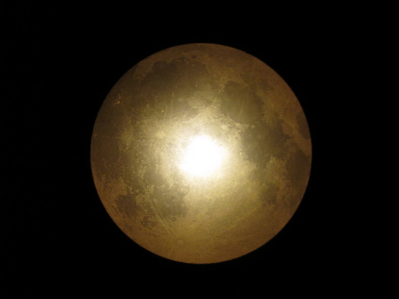 月の標本　ランプ　黒額（黄/青色光）G004YB 6枚目の画像