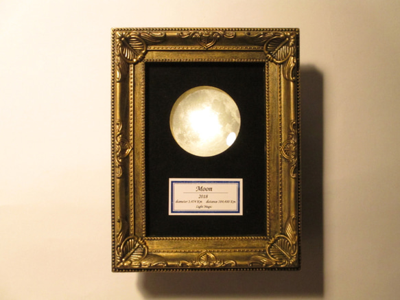 月の標本　ランプ　金額　小（黄色光）GS001Y 1枚目の画像