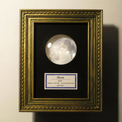月の標本　ランプ　金色額　小（白/黄色光）　GS006WY 2枚目の画像
