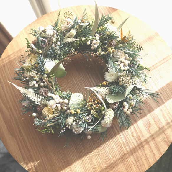 早春のリース～ティーツリーとユーカリ～ リース viento 通販 8406698